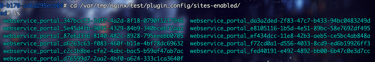 图片[2]-群晖DSM7.1和升级7.2后Web Station Nginx 配置的伪静态失效修改教程 - 欧鹿星球-欧鹿星球